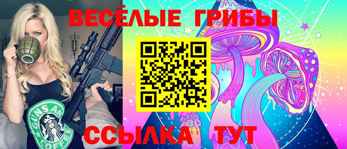 ГАШ Михайловка